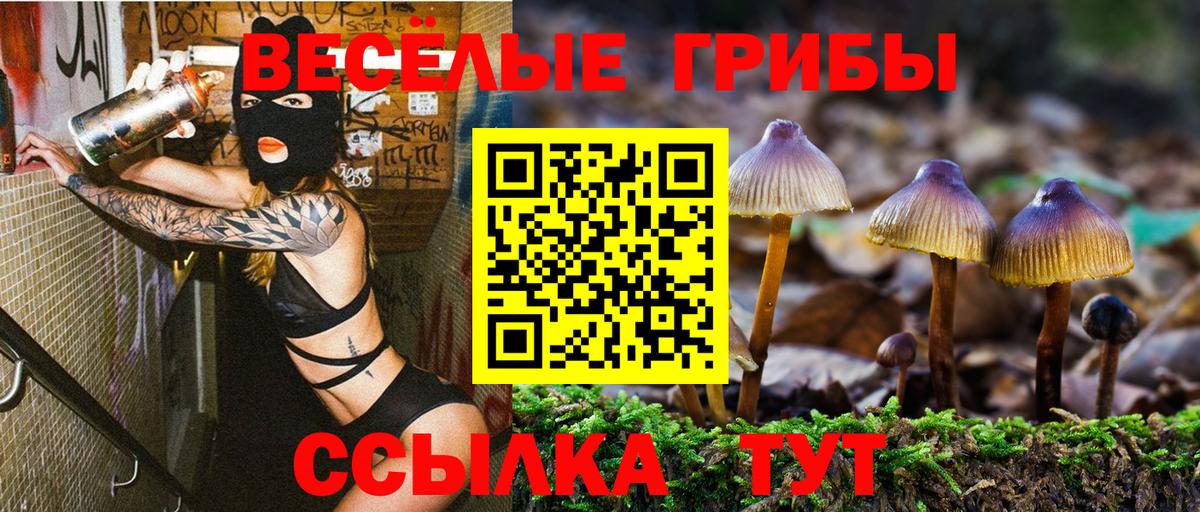 Галлюциногенные грибы Magic Shrooms Советская Гавань