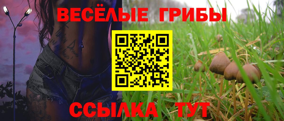 Псилоцибиновые грибы ЛСД  Вход с VPN  Советская Гавань  Псилоцибиновые грибы мухоморы 
